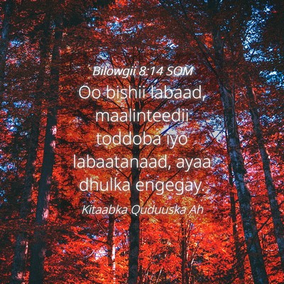 Picture 04 - Bilowgii 8:14 SOM - Oo bishii labaad, maalinteedii toddoba iyo - Bible Verse Picture
