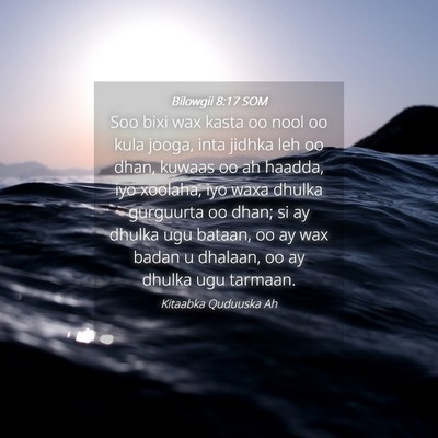 Picture 04 - Bilowgii 8:17 SOM - Soo bixi wax kasta oo nool oo kula jooga, inta - Bible Verse Picture