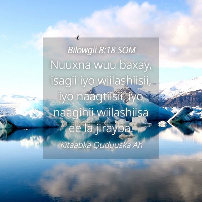 Picture 04 - Bilowgii 8:18 SOM - Nuuxna wuu baxay, isagii iyo wiilashiisii, iyo - Bible Verse Picture