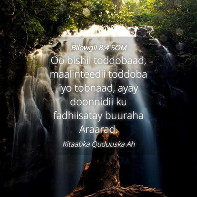 Picture 04 - Bilowgii 8:4 SOM - Oo bishii toddobaad, maalinteedii toddoba iyo - Bible Verse Picture