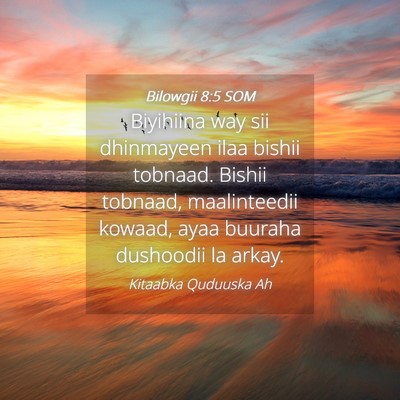 Picture 04 - Bilowgii 8:5 SOM - Biyihiina way sii dhinmayeen ilaa bishii tobnaad. - Bible Verse Picture
