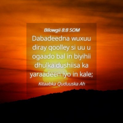 Picture 04 - Bilowgii 8:8 SOM - Dabadeedna wuxuu diray qoolley si uu u ogaado bal - Bible Verse Picture