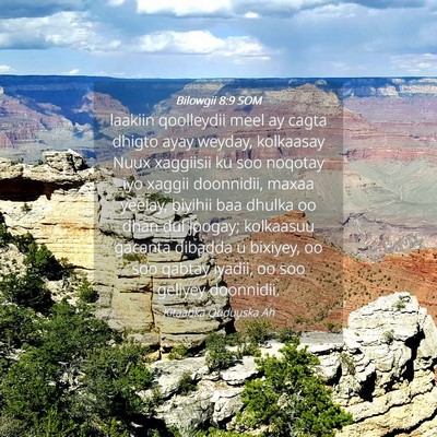 Picture 04 - Bilowgii 8:9 SOM - laakiin qoolleydii meel ay cagta dhigto ayay - Bible Verse Picture