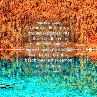 Picture 04 - Bilowgii 9:11 SOM - Oo waxaan idinku adkayn doonaa axdigayga; inta - Bible Verse Picture