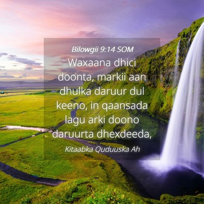 Picture 04 - Bilowgii 9:14 SOM - Waxaana dhici doonta, markii aan dhulka daruur - Bible Verse Picture