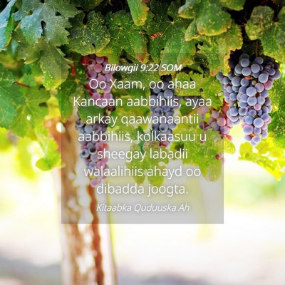 Picture 04 - Bilowgii 9:22 SOM - Oo Xaam, oo ahaa Kancaan aabbihiis, ayaa arkay - Bible Verse Picture