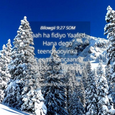 Picture 04 - Bilowgii 9:27 SOM - Ilaah ha fidiyo Yaafed, Hana dego teendhooyinka - Bible Verse Picture