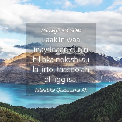 Picture 04 - Bilowgii 9:4 SOM - Laakiin waa inaydnaan cunin hilibka noloshiisu la - Bible Verse Picture