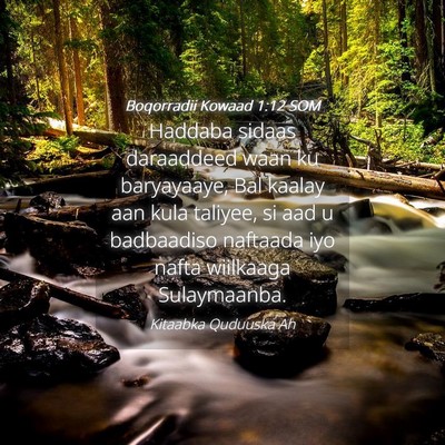 Picture 04 - Boqorradii Kowaad 1:12 SOM - Haddaba sidaas daraaddeed waan ku baryayaaye, Bal - Bible Verse Picture