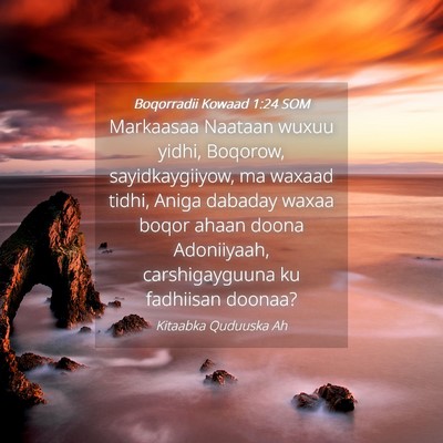 Picture 04 - Boqorradii Kowaad 1:24 SOM - Markaasaa Naataan wuxuu yidhi, Boqorow, - Bible Verse Picture
