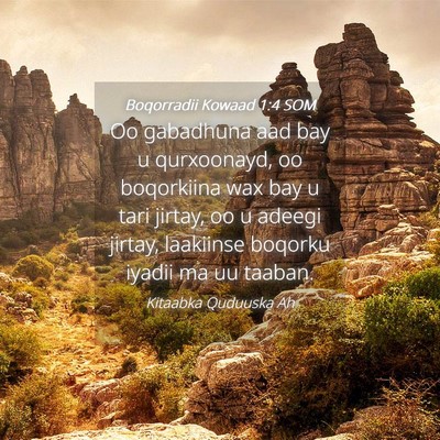 Picture 04 - Boqorradii Kowaad 1:4 SOM - Oo gabadhuna aad bay u qurxoonayd, oo boqorkiina - Bible Verse Picture