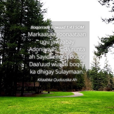 Picture 04 - Boqorradii Kowaad 1:43 SOM - Markaasaa Yoonaataan ugu jawaabay Adoniiyaah, - Bible Verse Picture