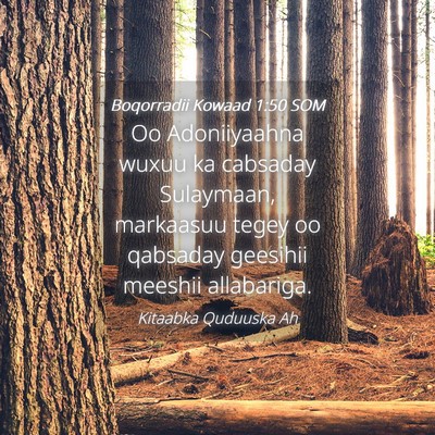 Picture 04 - Boqorradii Kowaad 1:50 SOM - Oo Adoniiyaahna wuxuu ka cabsaday Sulaymaan, - Bible Verse Picture