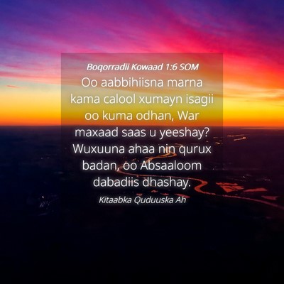 Picture 04 - Boqorradii Kowaad 1:6 SOM - Oo aabbihiisna marna kama calool xumayn isagii oo - Bible Verse Picture