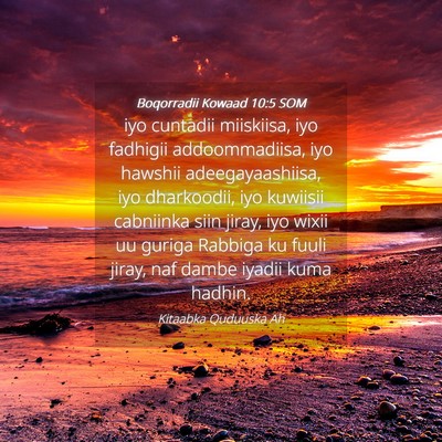 Picture 04 - Boqorradii Kowaad 10:5 SOM - iyo cuntadii miiskiisa, iyo fadhigii - Bible Verse Picture