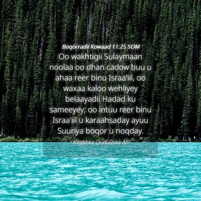 Picture 04 - Boqorradii Kowaad 11:25 SOM - Oo wakhtigii Sulaymaan noolaa oo dhan cadow buu u - Bible Verse Picture