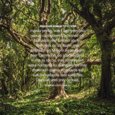 Picture 04 - Boqorradii Kowaad 11:33 SOM - maxaa yeelay, way i dayriyeen, oo waxay caabudeen - Bible Verse Picture