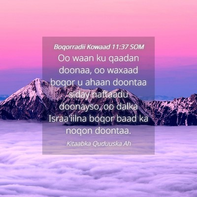 Picture 04 - Boqorradii Kowaad 11:37 SOM - Oo waan ku qaadan doonaa, oo waxaad boqor u ahaan - Bible Verse Picture