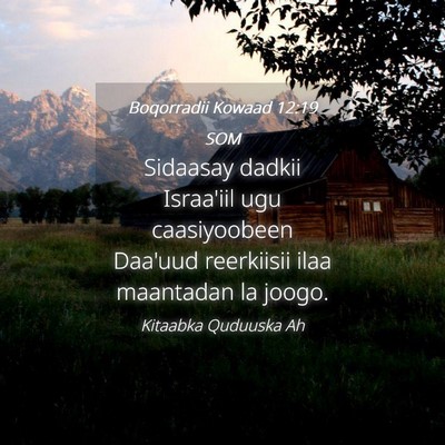 Picture 04 - Boqorradii Kowaad 12:19 SOM - Sidaasay dadkii Israa'iil ugu caasiyoobeen - Bible Verse Picture