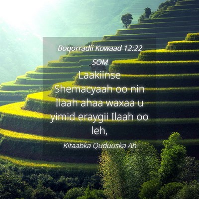 Picture 04 - Boqorradii Kowaad 12:22 SOM - Laakiinse Shemacyaah oo nin Ilaah ahaa waxaa u - Bible Verse Picture