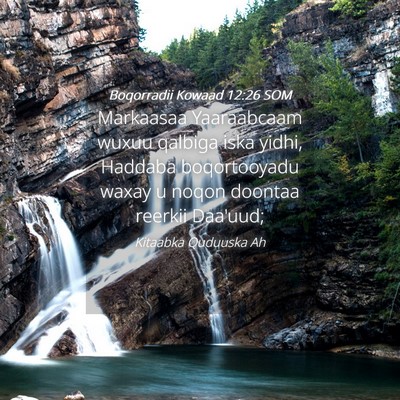 Picture 04 - Boqorradii Kowaad 12:26 SOM - Markaasaa Yaaraabcaam wuxuu qalbiga iska yidhi, - Bible Verse Picture