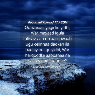 Picture 04 - Boqorradii Kowaad 12:9 SOM - Oo wuxuu iyagii ku yidhi, War maxaad igula - Bible Verse Picture