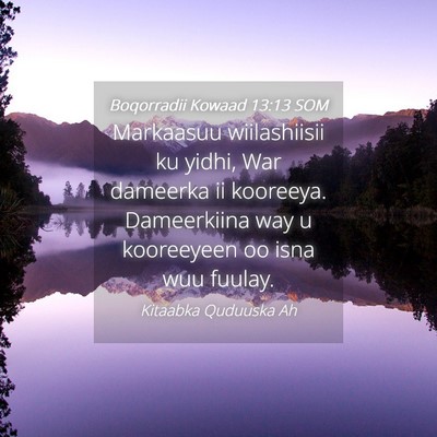 Picture 04 - Boqorradii Kowaad 13:13 SOM - Markaasuu wiilashiisii ku yidhi, War dameerka ii - Bible Verse Picture