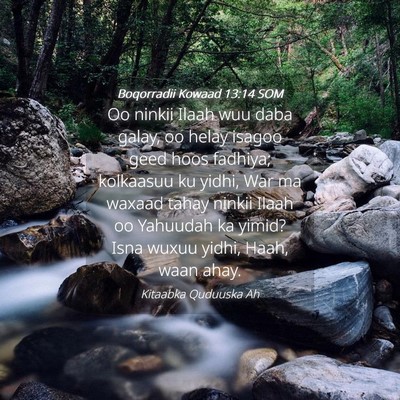 Picture 04 - Boqorradii Kowaad 13:14 SOM - Oo ninkii Ilaah wuu daba galay, oo helay isagoo - Bible Verse Picture