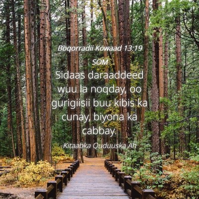 Picture 04 - Boqorradii Kowaad 13:19 SOM - Sidaas daraaddeed wuu la noqday, oo gurigiisii - Bible Verse Picture