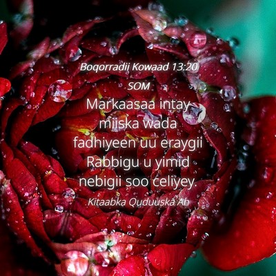 Picture 04 - Boqorradii Kowaad 13:20 SOM - Markaasaa intay miiska wada fadhiyeen uu eraygii - Bible Verse Picture