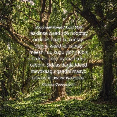 Picture 04 - Boqorradii Kowaad 13:22 SOM - laakiinse waad soo noqotay oo kibis baad ku - Bible Verse Picture