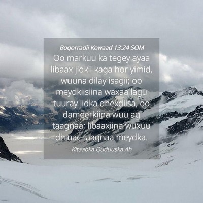 Picture 04 - Boqorradii Kowaad 13:24 SOM - Oo markuu ka tegey ayaa libaax jidkii kaga hor - Bible Verse Picture