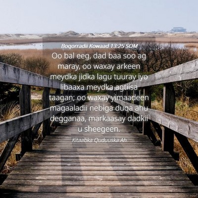 Picture 04 - Boqorradii Kowaad 13:25 SOM - Oo bal eeg, dad baa soo ag maray, oo waxay arkeen - Bible Verse Picture