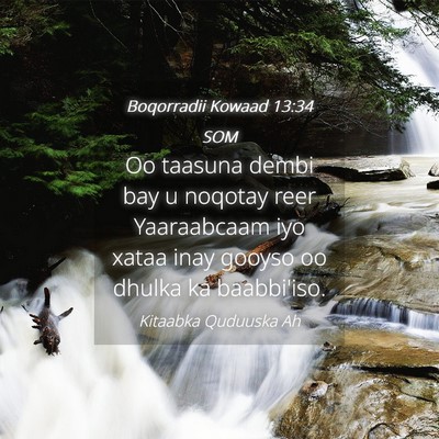 Picture 04 - Boqorradii Kowaad 13:34 SOM - Oo taasuna dembi bay u noqotay reer Yaaraabcaam - Bible Verse Picture