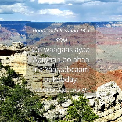 Picture 04 - Boqorradii Kowaad 14:1 SOM - Oo waagaas ayaa Abiiyaah oo ahaa ina Yaaraabcaam - Bible Verse Picture