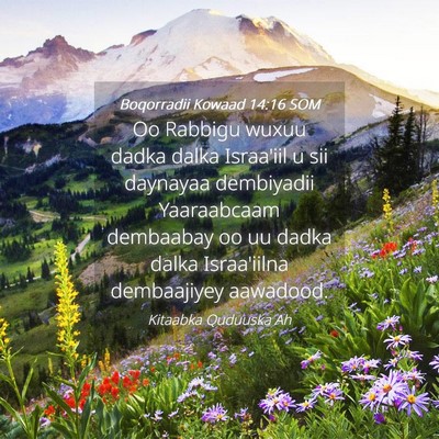 Picture 04 - Boqorradii Kowaad 14:16 SOM - Oo Rabbigu wuxuu dadka dalka Israa'iil u sii - Bible Verse Picture