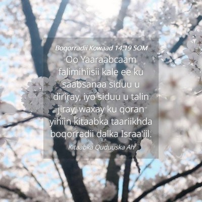 Picture 04 - Boqorradii Kowaad 14:19 SOM - Oo Yaaraabcaam falimihiisii kale ee ku saabsanaa - Bible Verse Picture