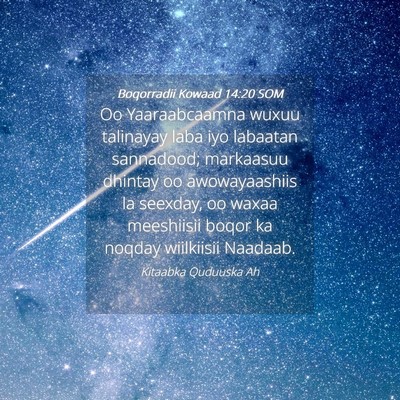 Picture 04 - Boqorradii Kowaad 14:20 SOM - Oo Yaaraabcaamna wuxuu talinayay laba iyo - Bible Verse Picture