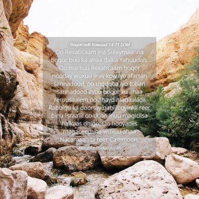 Picture 04 - Boqorradii Kowaad 14:21 SOM - Oo Rexabcaam ina Sulaymaanna boqor buu ka ahaa - Bible Verse Picture