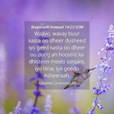 Picture 04 - Boqorradii Kowaad 14:23 SOM - Waayo, waxay buur kasta oo dheer dusheed iyo geed - Bible Verse Picture