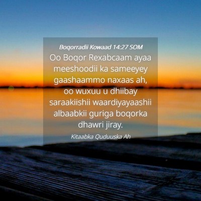 Picture 04 - Boqorradii Kowaad 14:27 SOM - Oo Boqor Rexabcaam ayaa meeshoodii ka sameeyey - Bible Verse Picture