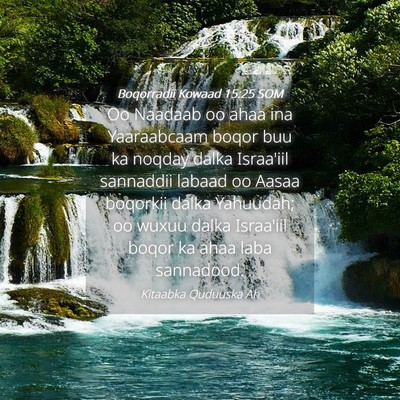 Picture 04 - Boqorradii Kowaad 15:25 SOM - Oo Naadaab oo ahaa ina Yaaraabcaam boqor buu ka - Bible Verse Picture