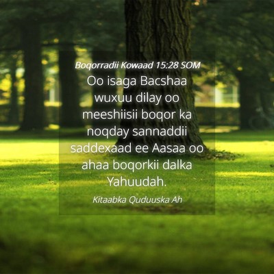 Picture 04 - Boqorradii Kowaad 15:28 SOM - Oo isaga Bacshaa wuxuu dilay oo meeshiisii boqor - Bible Verse Picture
