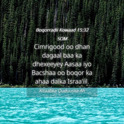 Picture 04 - Boqorradii Kowaad 15:32 SOM - Cimrigood oo dhan dagaal baa ka dhexeeyey Aasaa - Bible Verse Picture