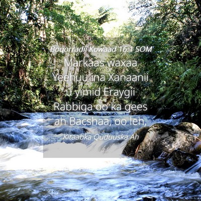 Picture 04 - Boqorradii Kowaad 16:1 SOM - Markaas waxaa Yeehuu ina Xanaanii u yimid Eraygii - Bible Verse Picture