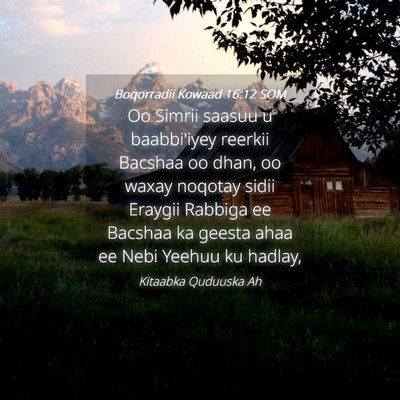 Picture 04 - Boqorradii Kowaad 16:12 SOM - Oo Simrii saasuu u baabbi'iyey reerkii Bacshaa oo - Bible Verse Picture