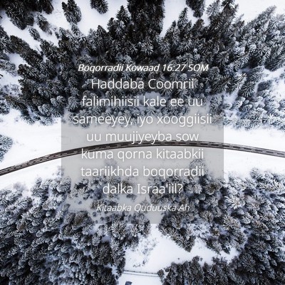 Picture 04 - Boqorradii Kowaad 16:27 SOM - Haddaba Coomrii falimihiisii kale ee uu sameeyey, - Bible Verse Picture