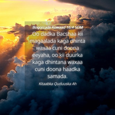 Picture 04 - Boqorradii Kowaad 16:4 SOM - Oo dadka Bacshaa kii magaalada kaga dhinta waxaa - Bible Verse Picture