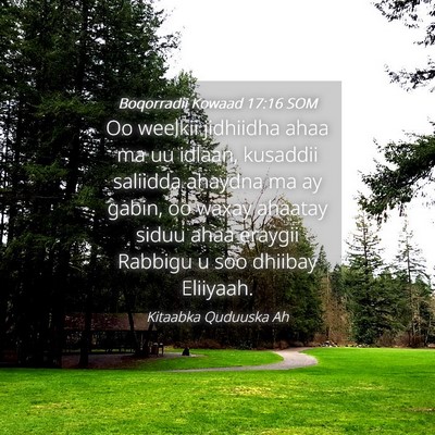 Picture 04 - Boqorradii Kowaad 17:16 SOM - Oo weelkii jidhiidha ahaa ma uu idlaan, kusaddii - Bible Verse Picture