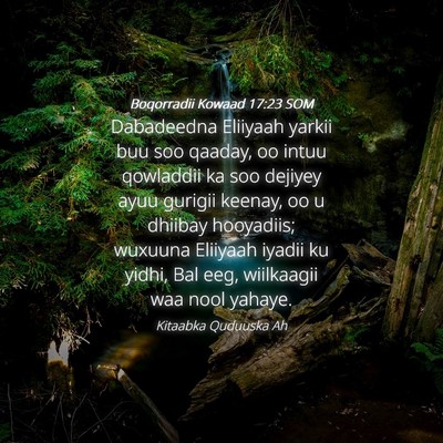 Picture 04 - Boqorradii Kowaad 17:23 SOM - Dabadeedna Eliiyaah yarkii buu soo qaaday, oo - Bible Verse Picture